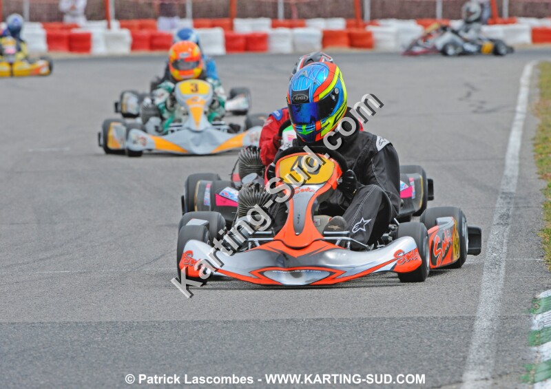 _DSC3768 copie.jpg